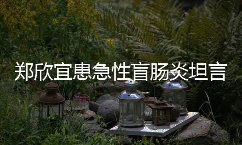 郑欣住院公开盲肠宜患炎坦言过分痛急性苦 程十手术视频